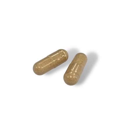 Prime Fifty Liver Support Supplements – 56 Vegan Capsules – Choline & Milk Thistle Supplements FutureYou Cambridge uk supplements