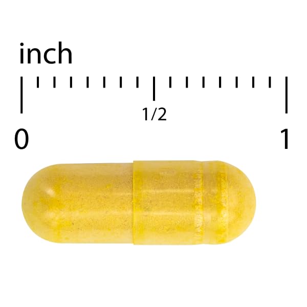 Terry Naturally Arthocin - Boswellia Serrata Capsules with Devil's Claw & Curcumin - Supplement to Support Joint & Spine Health - Herbal Supplement Aids Comfort & Absorption - 60 Capsules Terry Naturally uk supplements