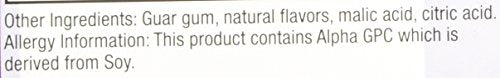 Purity Products Perfect Purples Powder Phytonutrient Rich, Healthy Aging Super Formula - Support Total Body Health - High ORAC Power - P40p Pomegranate Extract w/ 40% Punicosides - 30 Day Supply Purity Products uk supplements