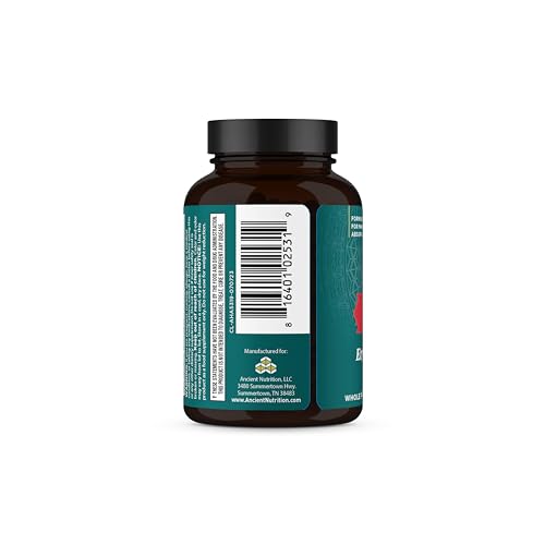 Ancient Nutrition Adrenal Support with Ashwagandha Supplement, Helps Reduce Stress & Fatigue, Paleo and Keto Friendly, Gluten Free, 1300mg, 60 Capsules Ancient Nutrition uk supplements