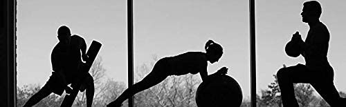 Dr. Schulze's | SuperProtein Plus | 100% Plant Protein Concentrate | Organic Powder Mix Dr. Schulze's uk supplements