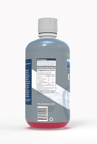 Wellgenix Sea Essentials Liquid Mineral Dietary Supplement with Trace and Macro Minerals and Coral Calcium – Sea Berry Flavor – 32 fl oz Wellgenix uk supplements