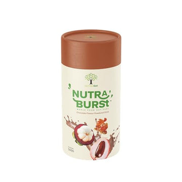 NutraBurst Pea Protein Shake with Probiotics, prebiotics, and Oats 500g - Chocolate Flavoured Nutree Gut uk supplements