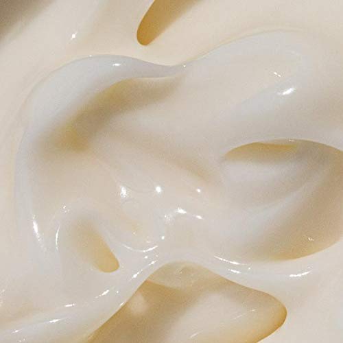 Moon Juice Cosmic Cream Vegan Collagen Protecting Moisturizer - Adaptogenic Dewy Face Lotion with Ashwagandha, Emollient Fatty Acids & Mushroom - Clean, Cruelty-Free & Sustainably-Sourced (1.7oz) Moon Juice uk supplements