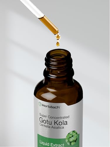 Gotu Kola Extract | 2 fl oz | Alcohol Free | Super Concentrated Liquid Herb Supplement Horbäach uk supplements