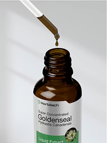 Goldenseal Root Extract Liquid | 1 fl oz Tincture | Super Concentrated | Alcohol Free Horbäach uk supplements