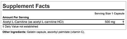 ANDREW LESSMAN Acetyl L-Carnitine 500 mg - 60 Capsules - Support for Nervous System ANDREW LESSMAN uk supplements