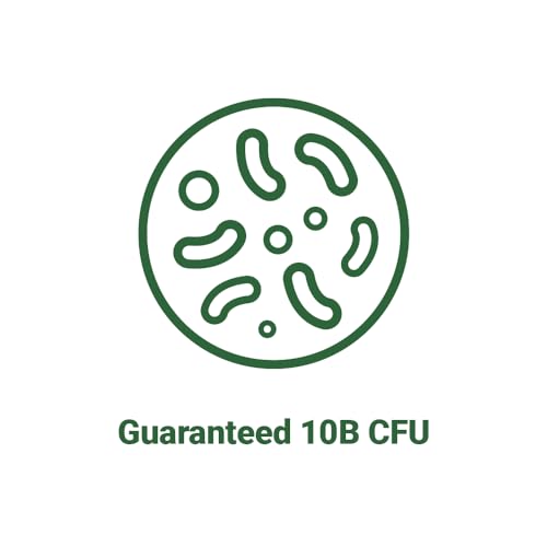 AceBiome BNRThin S30, Lactobacillus Gasseri BNR17, 10 Billion CFU Guaranteed AceBiome uk supplements