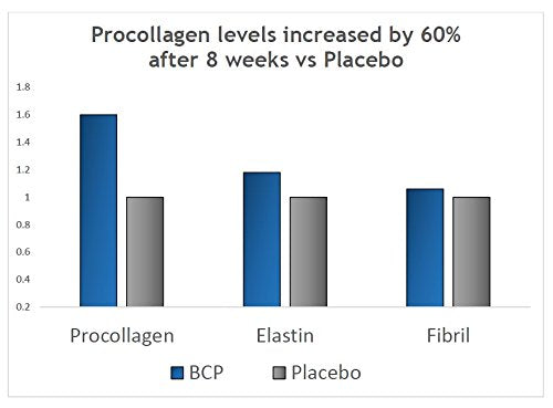 BESHA INC Verisol - Collagen Bioactive Peptides (Natural Collagen Powder) Made in Germany BESHA INC uk supplements