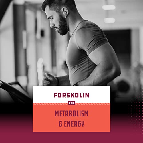 Max Strength Forskolin Weight Loss Supplement for Men and Women - Fast Acting Diet Pills Natures Craft uk supplements