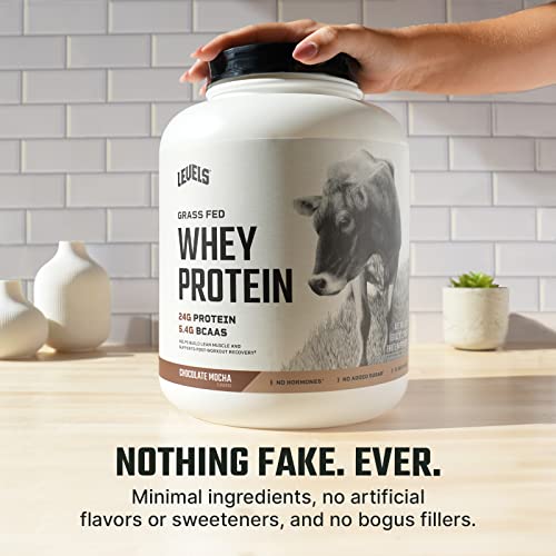 Levels Grass Fed 100% Whey Protein, No Hormones, Chocolate Mocha, 5LB Levels Nutrition uk supplements