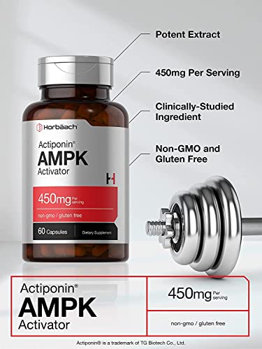 AMPK Metabolic Activator 450 mg | 60 Capsules | Non-GMO, Gluten Free | Jiaogulan Gynostemma Horbäach uk supplements