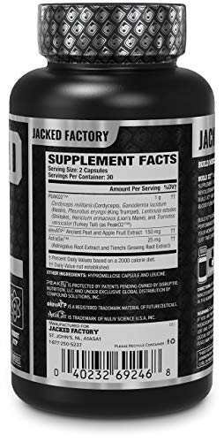Jacked Factory N.O. XT Nitric Oxide Supplement, Build-XT Muscle Builder, & Androsurge Jacked Factory uk supplements