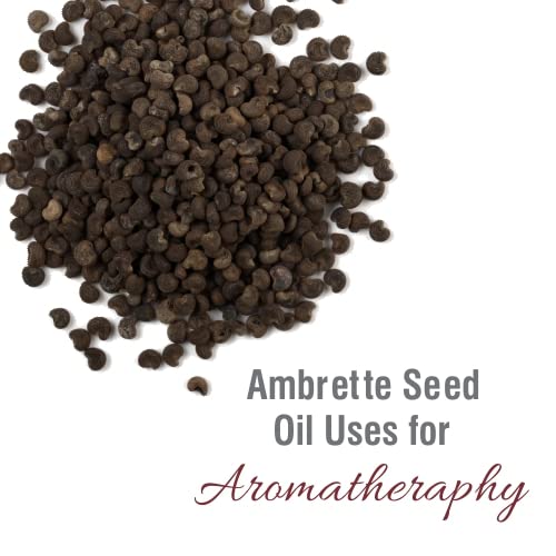 Crysalis Ambrette Seed (Abelmoschus moschatus) Oil - 0.51 Fl Oz (15ml) Crysalis uk supplements