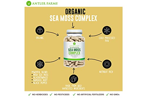 Antler Farms – 100% Pure Sea Moss Complex, 130 Capsules, Organic & Wildcrafted Irish Antler Farms uk supplements