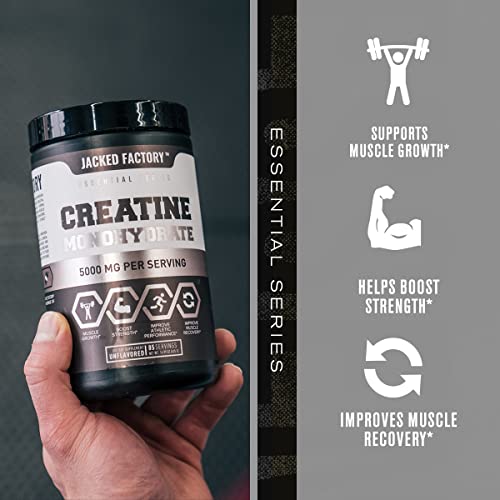 Nitrosurge Pre-Workout & Creatine Monohydrate - Pre Workout Powder With Creatine Jacked Factory uk supplements