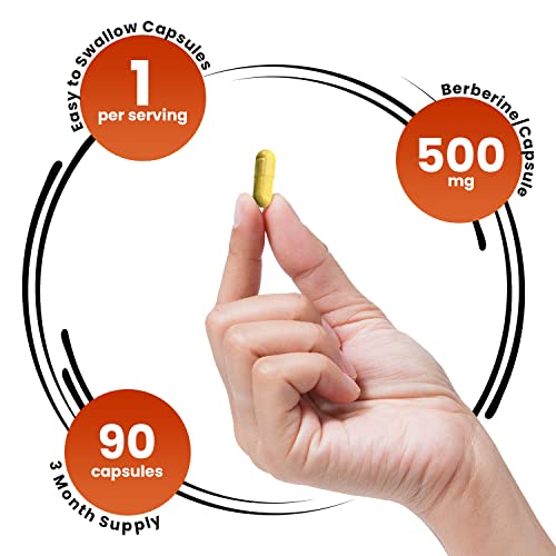 GENEX Berberine HCl 500mg (90 Capsules) | Powerful AMPK Activator, Supports Heart Genex Formulas uk supplements