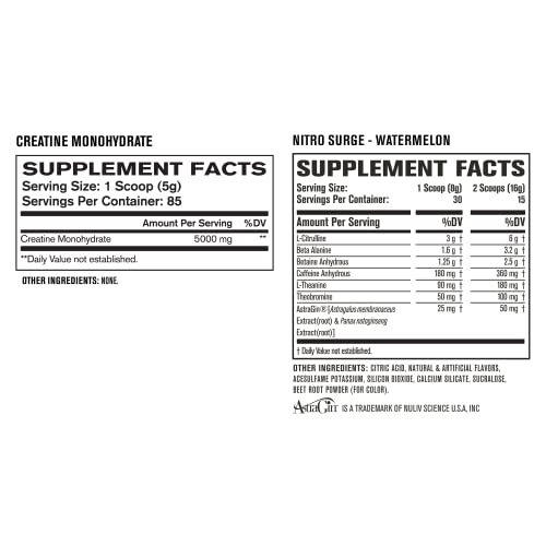 Nitrosurge Pre-Workout & Creatine Monohydrate - Pre Workout Powder With Creatine Jacked Factory uk supplements