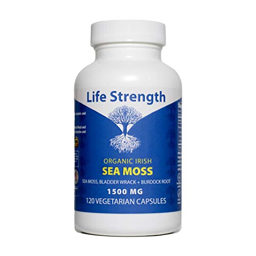 Life Strength Organic Sea Moss 120 CT Wildcrafted Irish Sea Moss and Bladderwrack Burdock Life Strength uk supplements