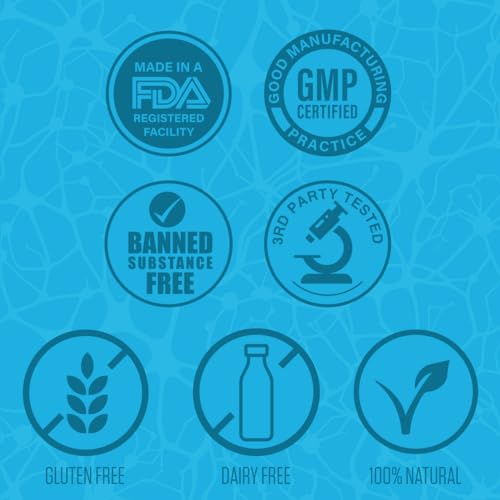 Nootropic Brain Aid | #1 Rated Focus & Memory Supplement | Improve Concentration EPN Supplements uk supplements