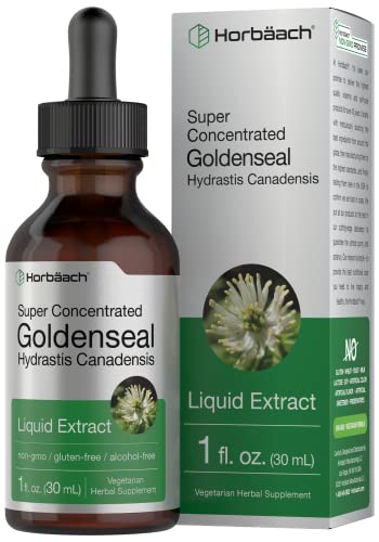 Goldenseal Root Extract Liquid | 1 fl oz Tincture | Super Concentrated | Alcohol Free Horbäach uk supplements