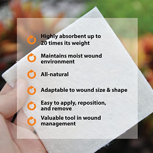 Pivot Calcium Alginate Wound Dressing – All-Natural First Aid | 4x5 Dressin LMP LINKS MEDICAL PRODUCTS INC. uk supplements