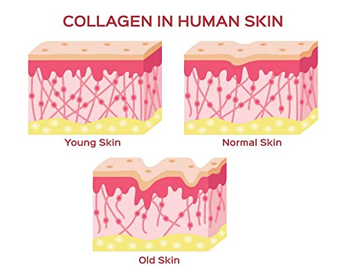 Herbal Magic's Pure & Natural Blend - Collagen Builder Capsules x 60 - Made from 17 Fruits Herbal Magic uk supplements