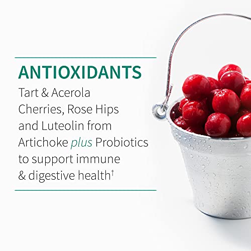 Garden of Life Quercetin Once Daily Immune System Support Garden of Life uk supplements