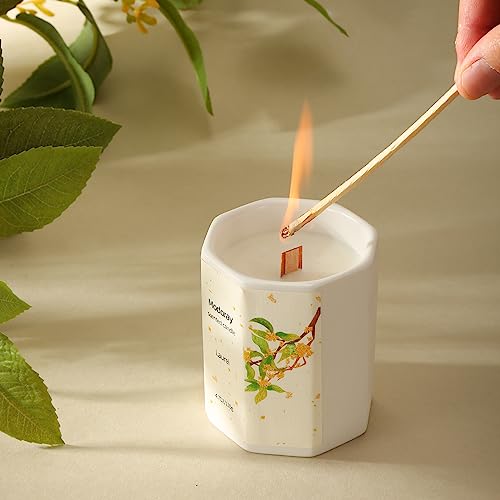 Modoray Scented Candle, Candles for Home Scented, Aromatherapy Candle，Long Lasting Natural Modoray uk supplements