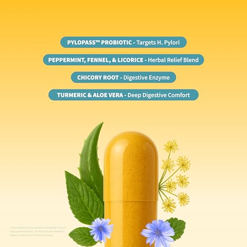 Snap Supplements Gut Health Lipase Supplement with Probiotics for Women & Men, Digestive Enzymes & Prebiotics - Turmeric, Aloe, Pylopass & Zinc, 50 Vegetarian Capsules Snap Supplements uk supplements