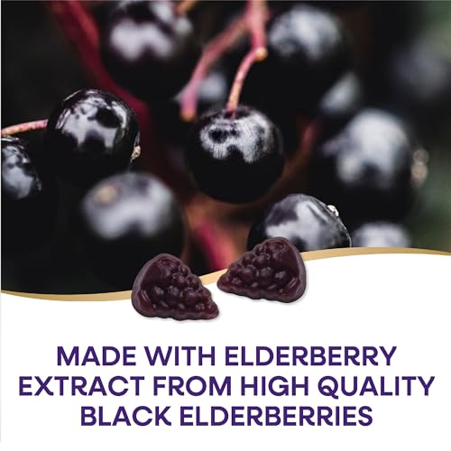 Nature's Way Sambucus Elderberry Immune Gummies, Daily Immune Support Nature's Way uk supplements