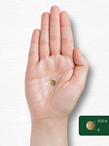 Carlyle Ginkgo Biloba 3000mg | 400 Tablets | Non-GMO, Gluten Free Carlyle uk supplements