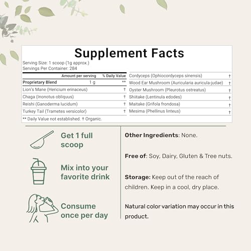 Sustainably US Grown, Organic Mega Mushroom 10 in 1 Complex Formula Powder Micro Ingredients uk supplements