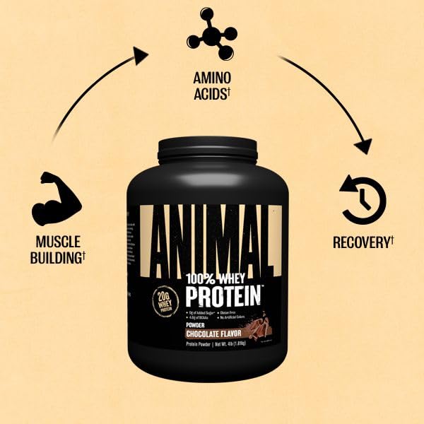 Animal 100% Whey Protein Powder – Whey Blend for Pre- or Post-Workout, Recovery Animal uk supplements