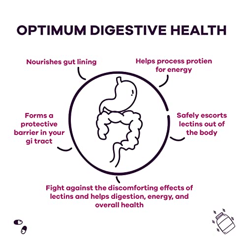 GOBIOTIX Lectin Defense - Lectin Blocker Supplement with MSM and Digestive Enzymes GOBIOTIX uk supplements