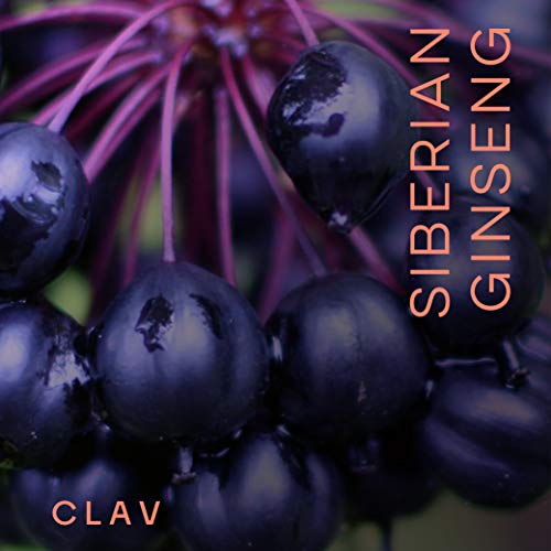 CLAV® Siberian Ginseng - 900mg Eleuthero Root Powder - Energy Supplement CLAV uk supplements