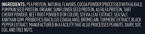 Vega Sport Premium Vegan Protein Powder, Chocolate - 30g Plant Based Protein, 5g BCAA Vega uk supplements