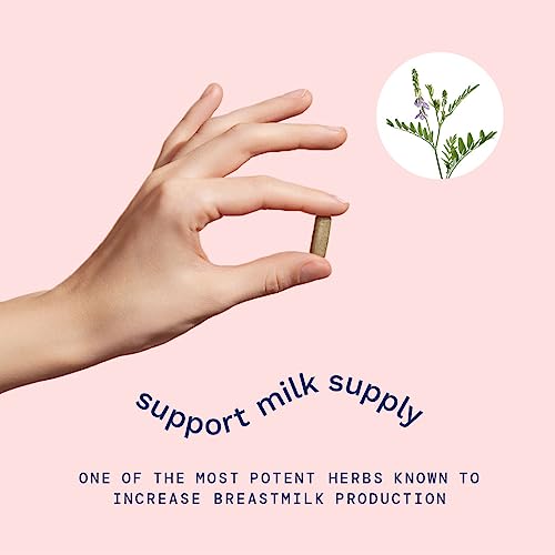 Goat's Rue Lactation Supplement For Increased Breast Milk, Lactation Supplement Mommy Knows Best uk supplements