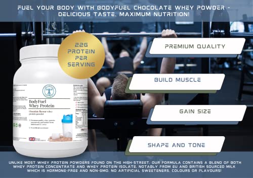 Complementary Supplements - BodyFuel Whey Protein Isolate & Concentrate Chocolate Flavour Complementary Supplements uk supplements