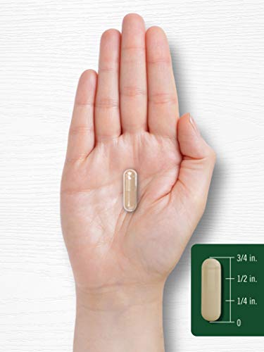 Carlyle Kudzu Root | 100 Extract Capsules | Non-GMO and Gluten Free Formula Carlyle uk supplements