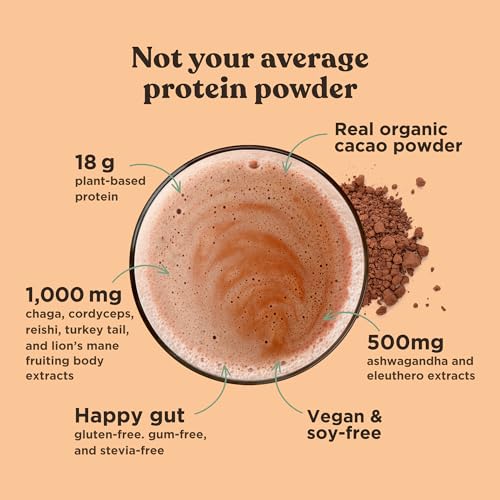 Four Sigmatic Organic Plant-Based Protein Powder Creamy Cacao Protein with Lion’s Mane Four Sigmatic uk supplements