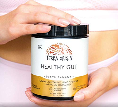 TERRA ORIGIN Healthy Gut Peach Banana | 3-Pack, 90 Servings (Three 30-Serving tubs) TERRA ORIGIN uk supplements
