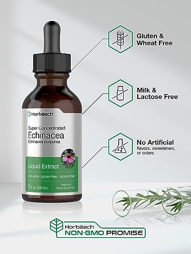 Echinacea Drops Liquid Extract | 2 fl oz | Super Concentrated Tincture | Alcohol Free Horbäach uk supplements