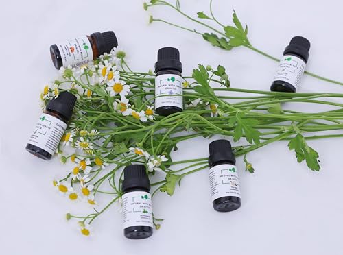 Essential Oils Set 100% Pure Natural DR.NITTA Top 6 Oils for Massage,Diffusers,Humidifier DR.NITTA uk supplements