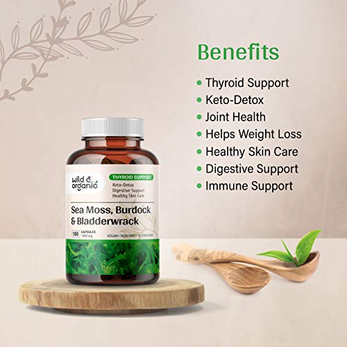 Sea Moss Capsules - 180 Caps Wildcrafted Irish Moss, Burdock Root & Bladderwrack Wild & Organic uk supplements