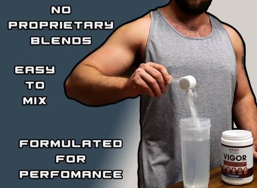 Leviathan Wellness Vigor - Stimulant Free, Nitric Oxide Boosting Pre-Workout Powder Leviathan Wellness uk supplements