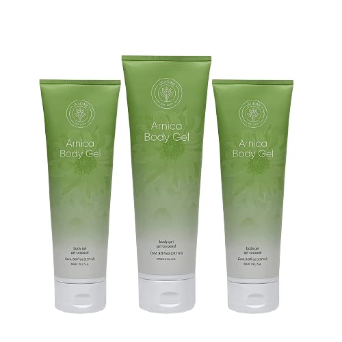 L’EUDINE Arnica Gel – Pack of 3 – Extra Strength for Bruise Relief, Wonder-Plant for Treating Muscle Soreness, Bruising, and Swelling - Fast Absorbing, Natural Formula L'eudine uk supplements