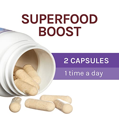 Host Defense, Lion's Mane Capsules, Promotes Mental Clarity, Focus and Memory Host Defense uk supplements