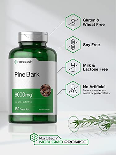 Pine Bark Extract | 6000 mg | 180 Capsules | Standardized to Contain 380 mg Proanthocyan Horbäach uk supplements