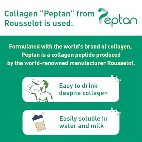 Muscle Colllagen Protein Collagen Peptides Powder Chocolate Flavored Dietary Supplement Muscle Collagen uk supplements